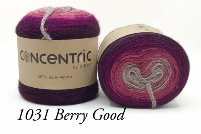 Concentric HiKoo Worsted Yarn