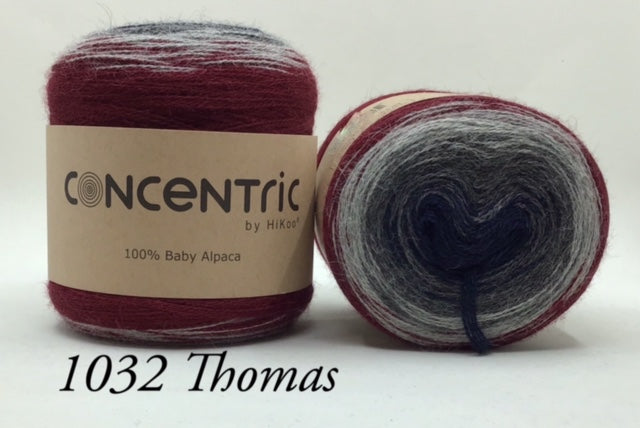 Concentric HiKoo Worsted Yarn