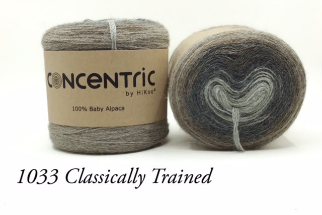 Concentric HiKoo Worsted Yarn