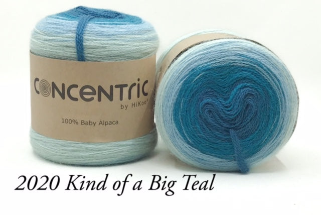 Concentric HiKoo Worsted Yarn