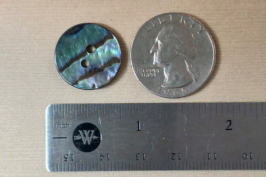 Abalone Button