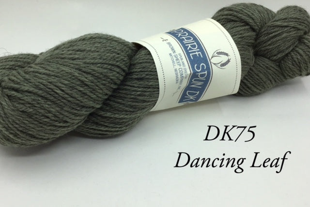 Prairie Spun Brown Sheep DK Yarn